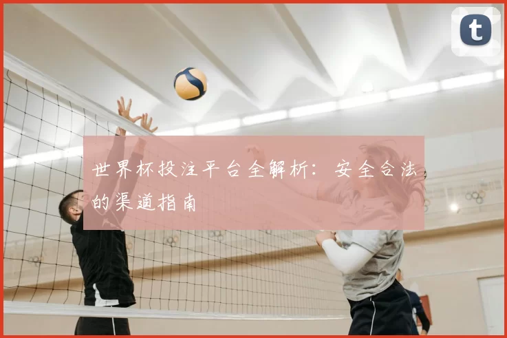 世界杯投注平台全解析：安全合法的渠道指南