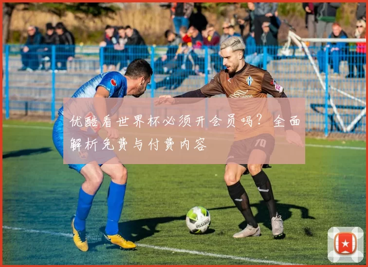 优酷看世界杯必须开会员吗?全面解析免费与付费内容
