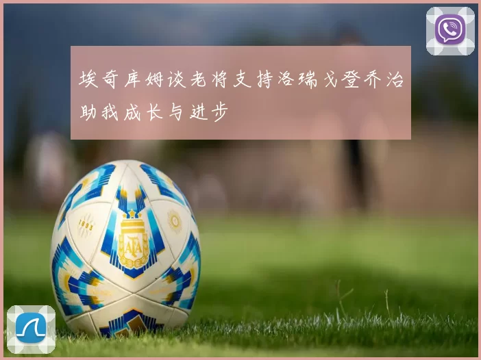 埃奇库姆谈老将支持洛瑞戈登乔治助我成长与进步