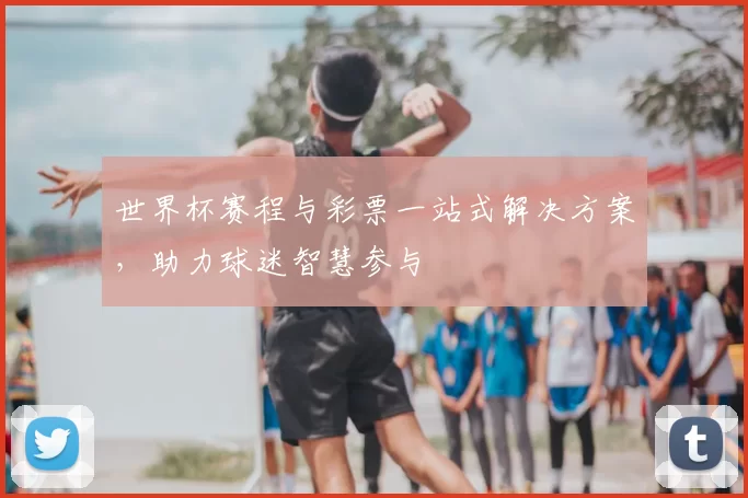 世界杯赛程与彩票一站式解决方案,助力球迷智慧参与