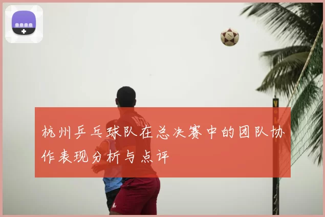 杭州乒乓球队在总决赛中的团队协作表现分析与点评