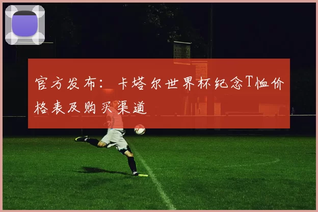 官方发布：卡塔尔世界杯纪念T恤价格表及购买渠道