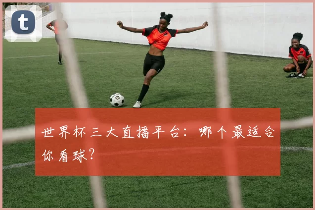 世界杯三大直播平台：哪个最适合你看球？