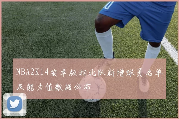 NBA2K14安卓版湘北队新增球员名单及能力值数据公布