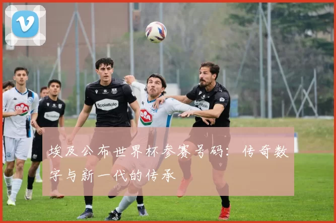埃及公布世界杯参赛号码:传奇数字与新一代的传承