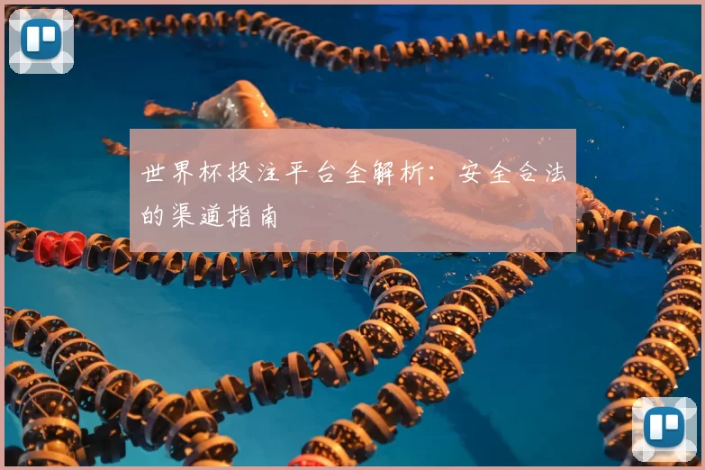 世界杯投注平台全解析：安全合法的渠道指南