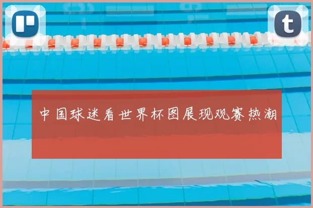 中国球迷看世界杯图展现观赛热潮