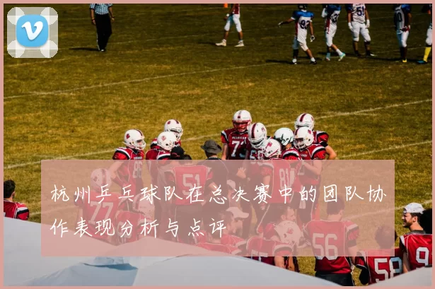 杭州乒乓球队在总决赛中的团队协作表现分析与点评