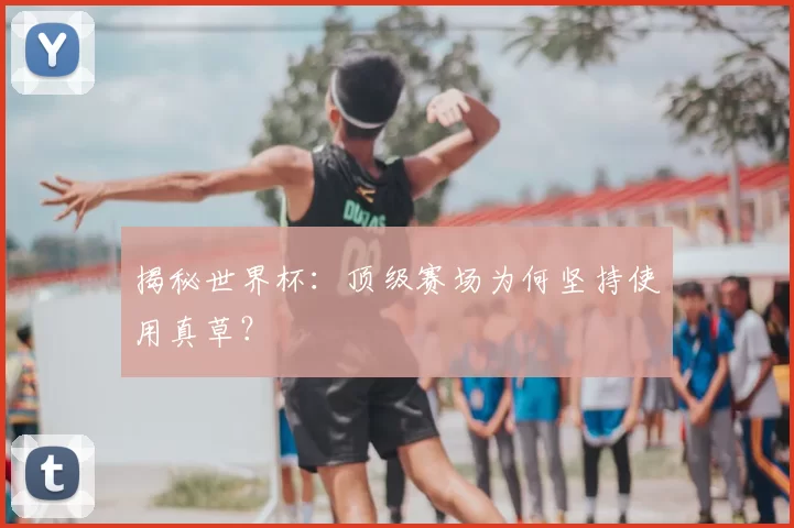 揭秘世界杯：顶级赛场为何坚持使用真草？