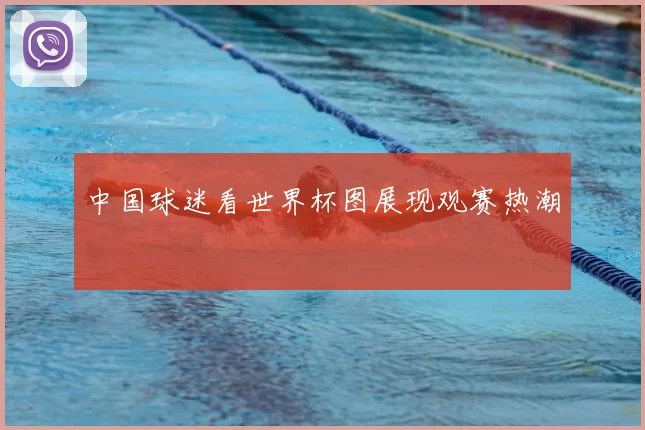 中国球迷看世界杯图展现观赛热潮