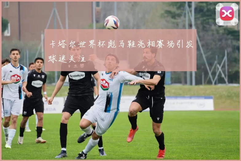 卡塔尔世界杯彪马鞋亮相赛场引发球迷关注