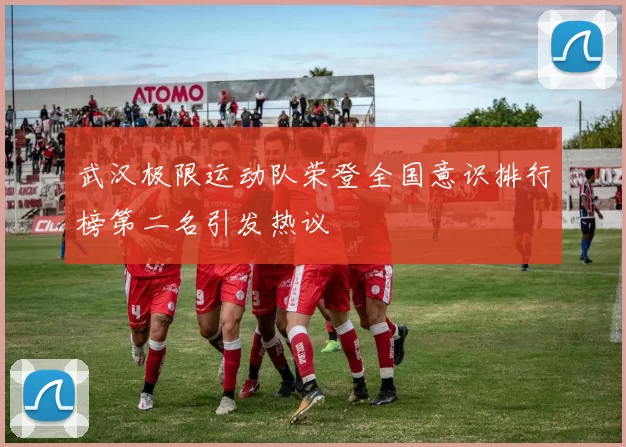 武汉极限运动队荣登全国意识排行榜第二名引发热议