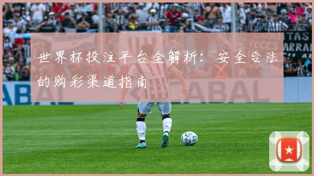 世界杯投注平台全解析：安全合法的购彩渠道指南