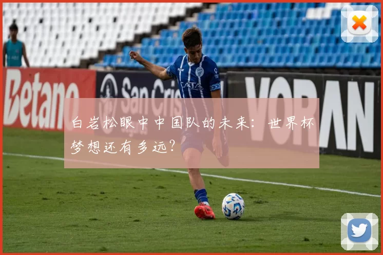 白岩松眼中中国队的未来:世界杯梦想还有多远?
