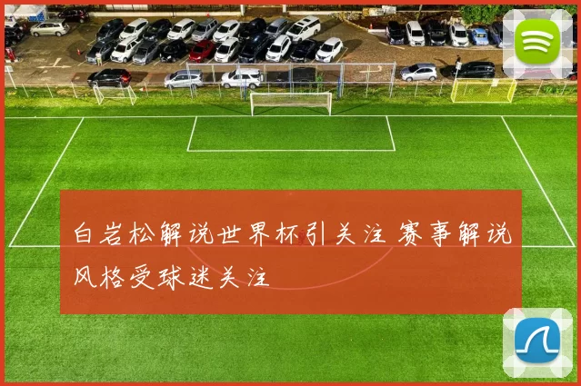 白岩松解说世界杯引关注 赛事解说风格受球迷关注