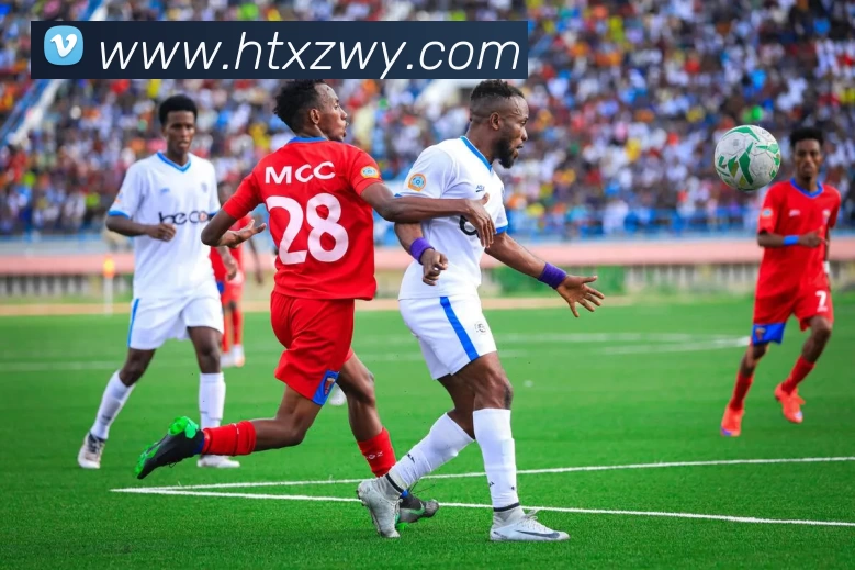 星空平台生态图